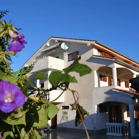 Athena Apartment